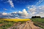 Country Road In Spring Colza Fields Stock Photo