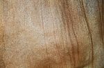 Cow Skin Stock Photo