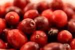 Cranberries Stock Photo