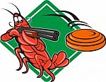 Crayfish Lobster Target Skeet Shooting Stock Photo