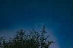 Crescent Moon With Star And Green Tree Stock Photo