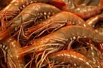 Crevettes Stock Photo