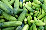 Cucumber Stock Photo