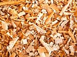 Curls Of Wood Shavings Stock Photo