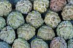 Custard Apple Stock Photo