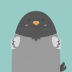 Cute Big Fat Pigeon Bird Stock Photo