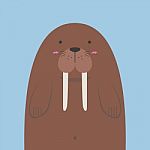 Cute Big Fat Walrus Stock Photo