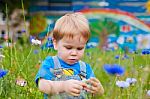 Cute Small Boy At The Field Of Flowers Having Good Time Stock Photo