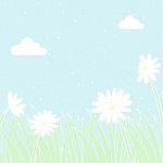 Daisy Background Stock Photo