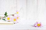 Daisy Flowers On The White Table Stock Photo