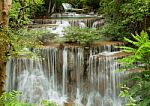 Deep Forest Waterfall Stock Photo