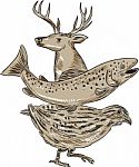 Deer Trout Quail Drawing Stock Photo