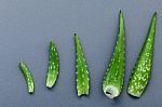 Different Size Of Aloe Vera Leaves On Gray Background. Skin Care Stock Photo