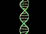 Dna Stock Photo