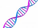 Dna Stock Photo