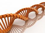 Dna Stock Photo