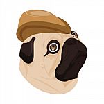 Dog Brown Hat On White Background Stock Photo