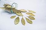 Dried Bay Leaves In Glass Jar On White Wooden Background Stock Photo