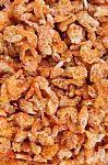 Dried Shrimp Closeup Stock Photo