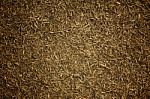 Dry Grass Background Stock Photo