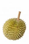 Durian Stock Photo