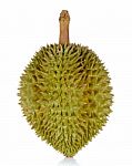 Durian Isolated On The White Background Stock Photo