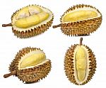 Durian Isolated On The White Background Stock Photo