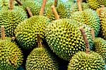 Durian King Of Fruit Stock Photo