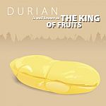 Durian The King Of Thai Fruits Stock Photo