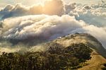 Early Morning Foggy  Sunrise On  Top Of Mountain Soft Focus Grai Stock Photo