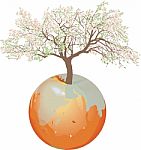 Earth - Apple Tree Stock Photo