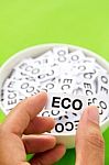 Eco Concept Stock Photo