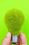 Eco Light Blub In Hand  Stock Photo