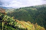 Ecuador As It Is: The Andes, The Sky And Bananas Stock Photo