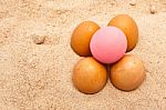 Eggs In Sand Stock Photo