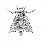 Elephant Hawk Moth Mandala Stock Photo