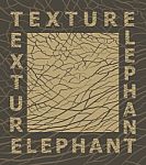 Elephant Skin Texture Stock Photo