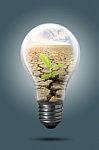 Energy Saving Light Bulb Stock Photo