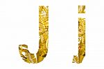 English Alphabet Made From Dry Leaves And Dry Grass On White Background For Isolated With Clipping Path Stock Photo