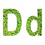 English Alphabet Made From Green Grass On White Background Stock Photo