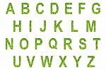 English Alphabet Made From Green Grass On White Background For Isolated Stock Photo