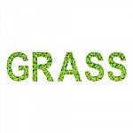 English Alphabet Of Grass Made From Green Grass On White Background For Isolated Stock Photo