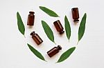 Eucalyptus Oil Bottle With  Leaves On White Background Stock Photo