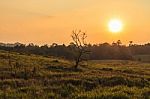 Evening At Khao Yai Stock Photo