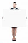 Executive With An Advertising Board Stock Photo