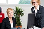 Executive Women Posing At Office Stock Photo