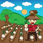 Farmer And Onion Plants A Harvest  Cartoon Stock Photo