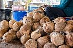 Farmer Cutting Coconut Shell Stock Photo