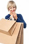 Fashionable Lady With Shopping Bags Stock Photo