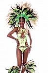 Female Dancer In Carnival Costume Stock Photo